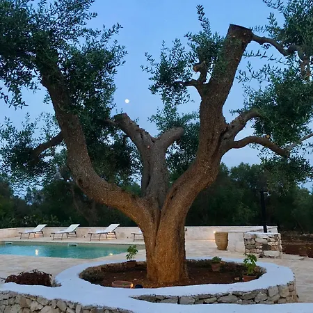 Trullo Tatauan منزل ريفي *